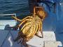 Tuncurry-PhilRoach 044